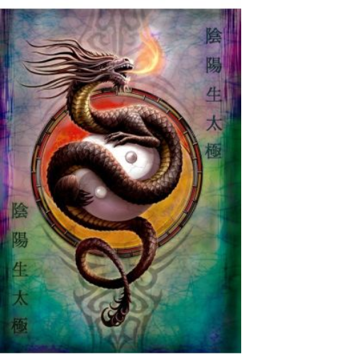 Ying Yang Protector Blank Greetings Card